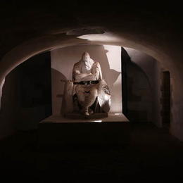 Image Image